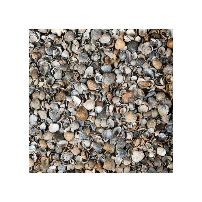 Schelpen Bruin/Grijs 8-16mm - Zakgoed