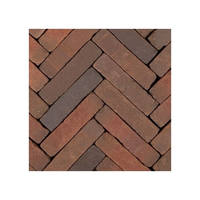 Art Bricks Waalformaat 5x20x6,5cm Bosch Rood/Paars