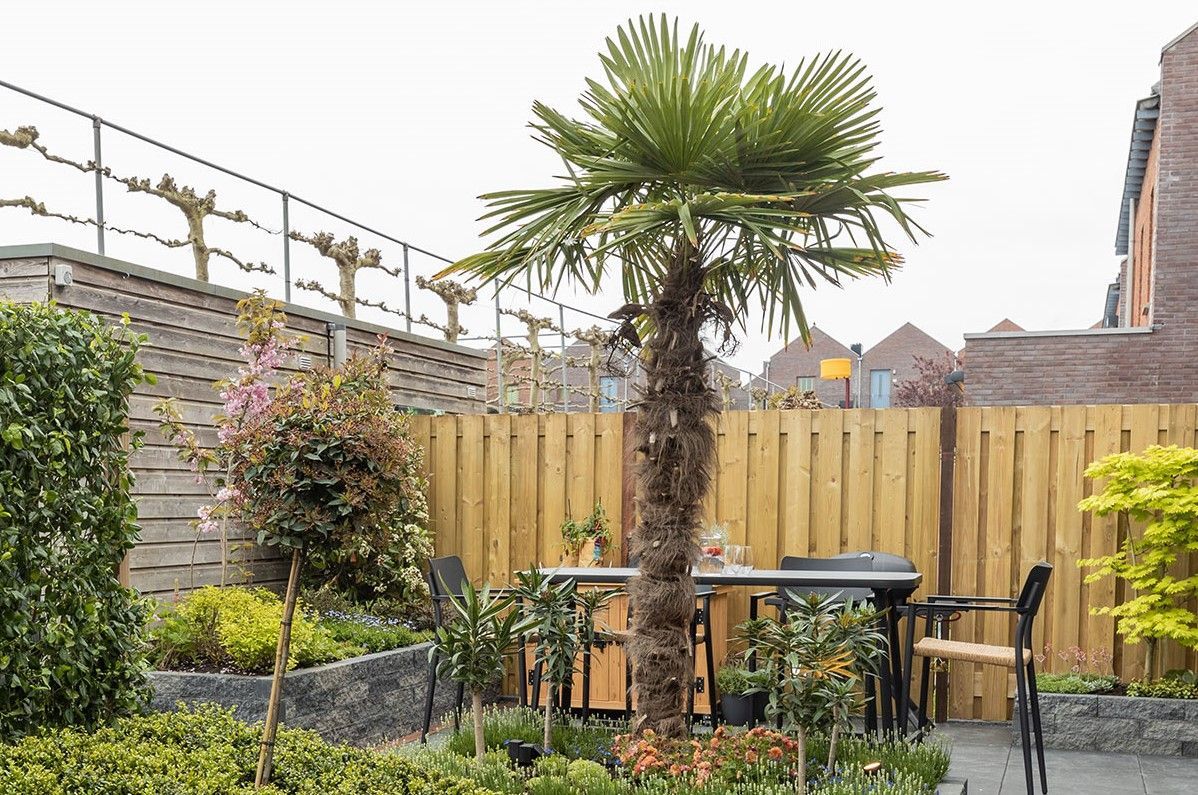 Privacy in je tuin creëren met de juiste grenen schutting